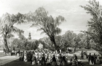 Botanische Gärten, Kapstadt, Druck von W. Simpson, ca. 1850er Jahre von Thomas William Bowler